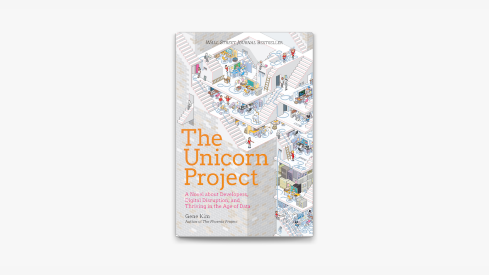 The Unicorn Project